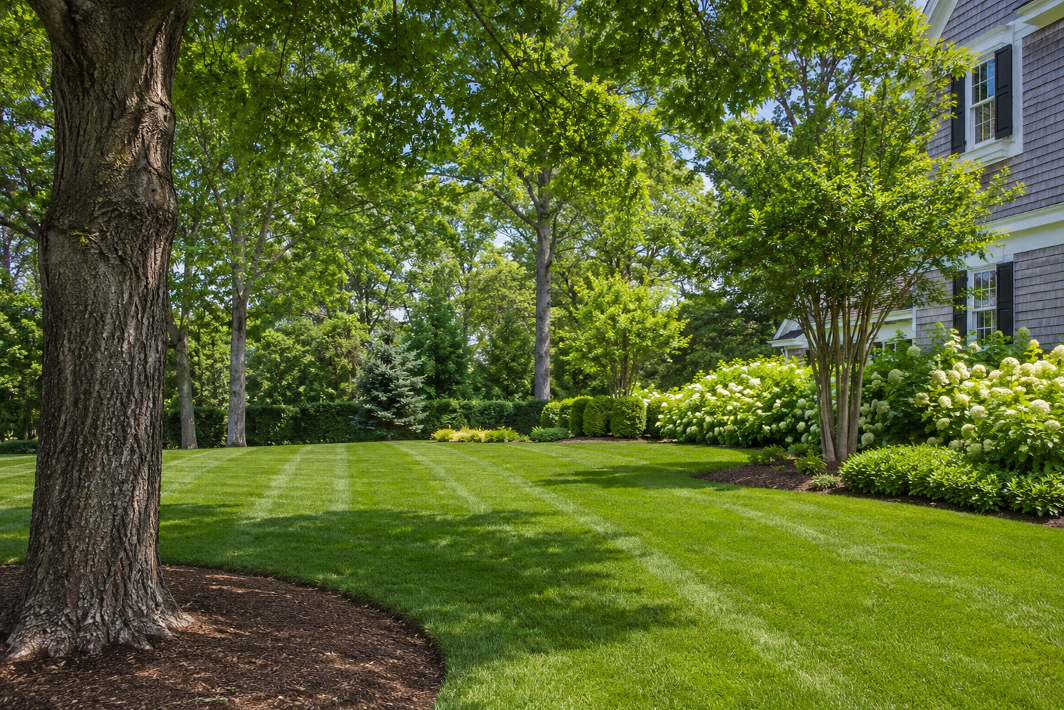 Lawn & Tree Care