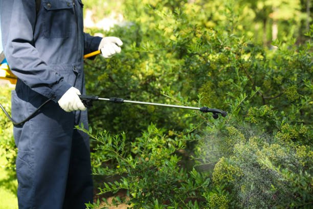 Tree & Plant Care